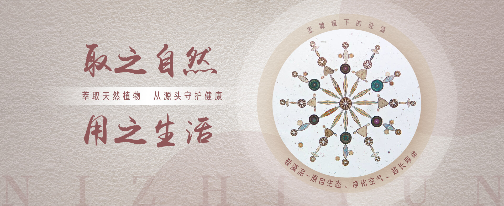 青岛hth官方网页版app下载环保壁材主营硅藻泥,水泥漆等产品.