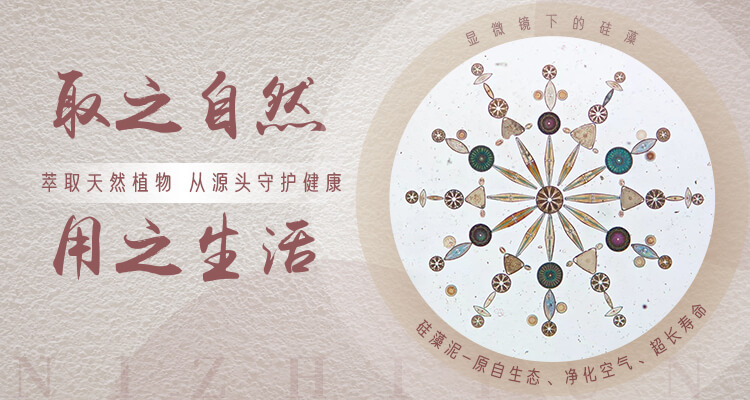 青岛hth官方网页版app下载环保壁材主营硅藻泥,水泥漆等产品.